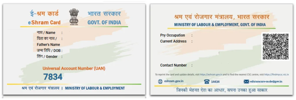 Driving License Sample