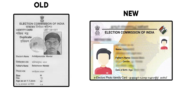 Driving License Sample